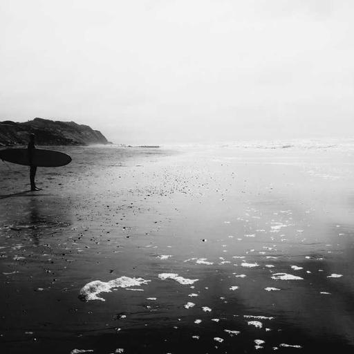 Eksplorasi Hutan Tropis dan Keajaiban Ekosistemnya