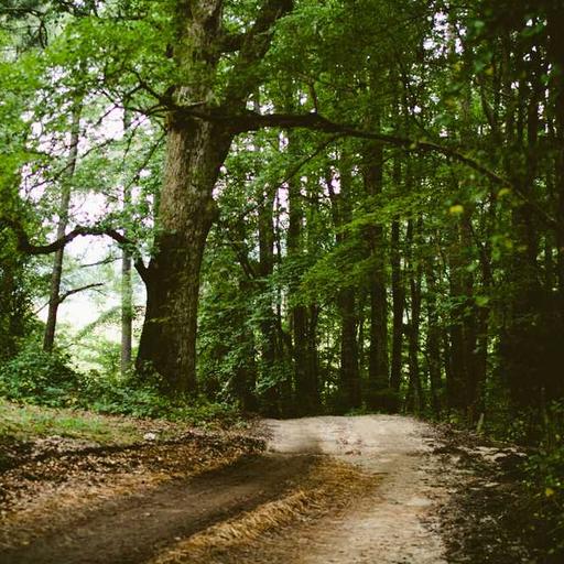 Menjaga Imunitas Tubuh Melalui Pola Hidup Seimbang