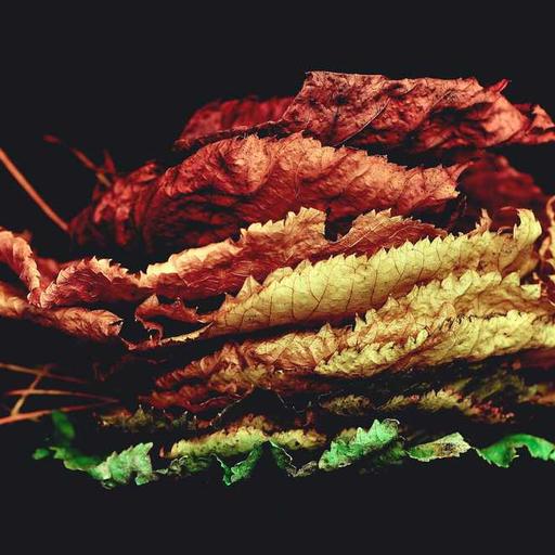 Tips Mengatur Waktu agar Tetap Produktif Setiap Hari